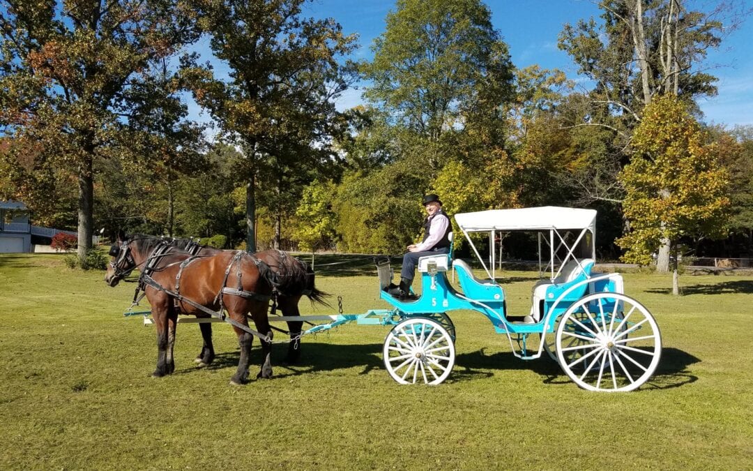 Water Wheel Carriages