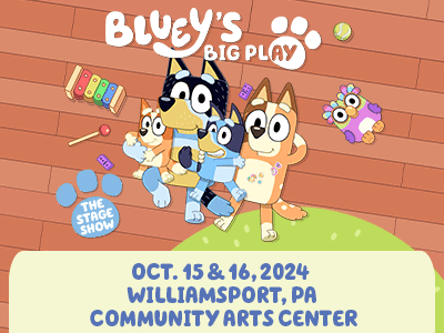 Bluey's Big Play