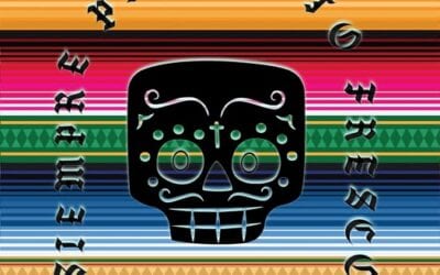 Happy Cinco de Mayo everyone!