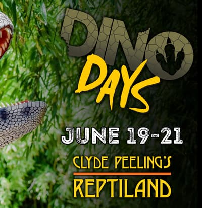 Reptiland Dino Days