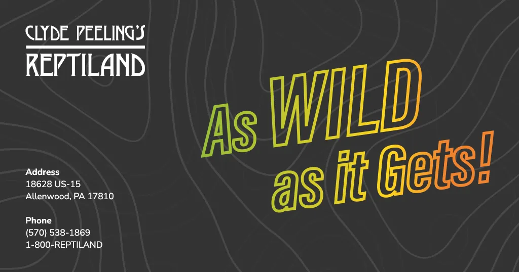 Reptiland