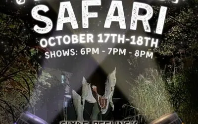 This sounds like fun!