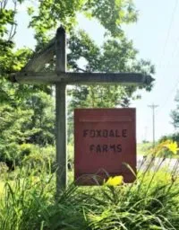 Foxdale Farms