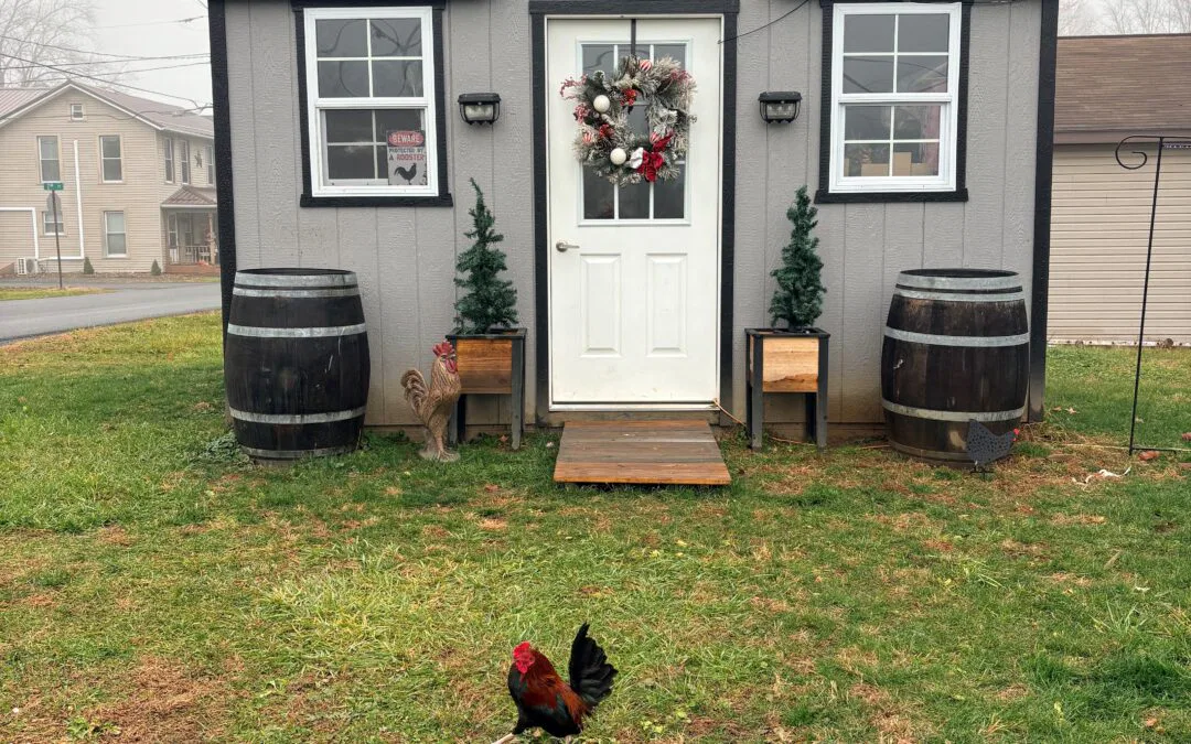 Haidyn’s Hen Pen