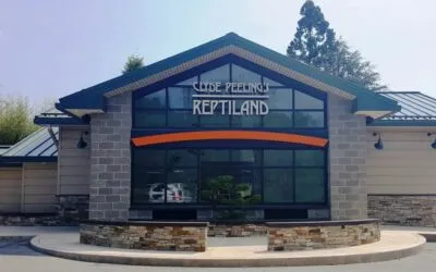 Have you been to Clyde Peeling’s Reptiland lately?
