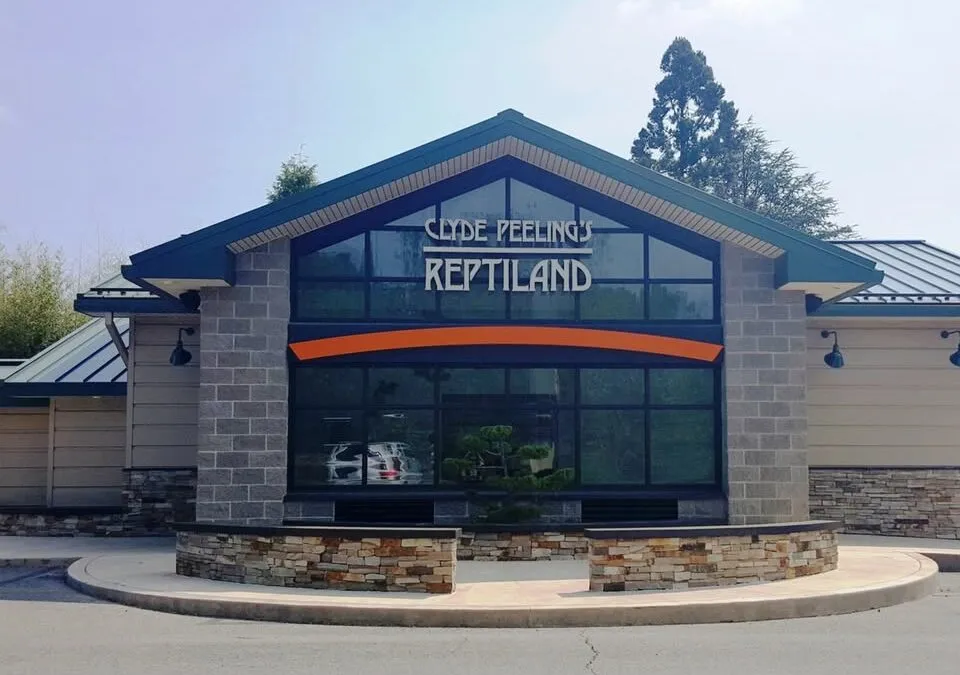 Have you been to Clyde Peeling’s Reptiland lately?