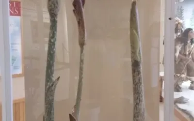 The Taber Museum of the Lycoming County Historical Society ...